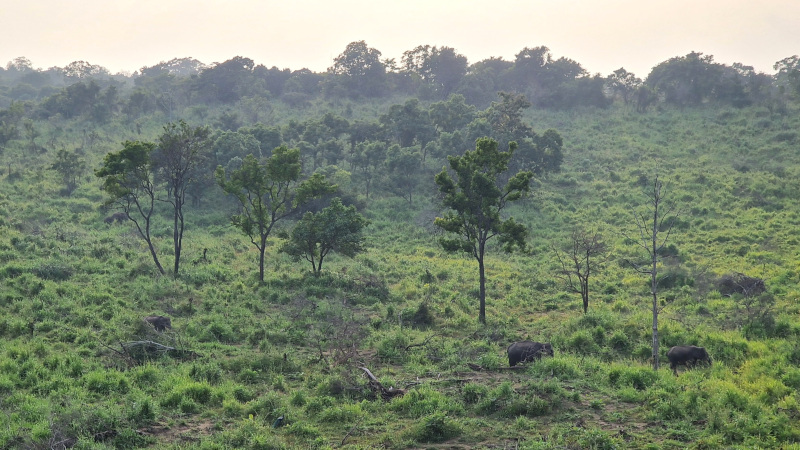 Hurulu Eco Park